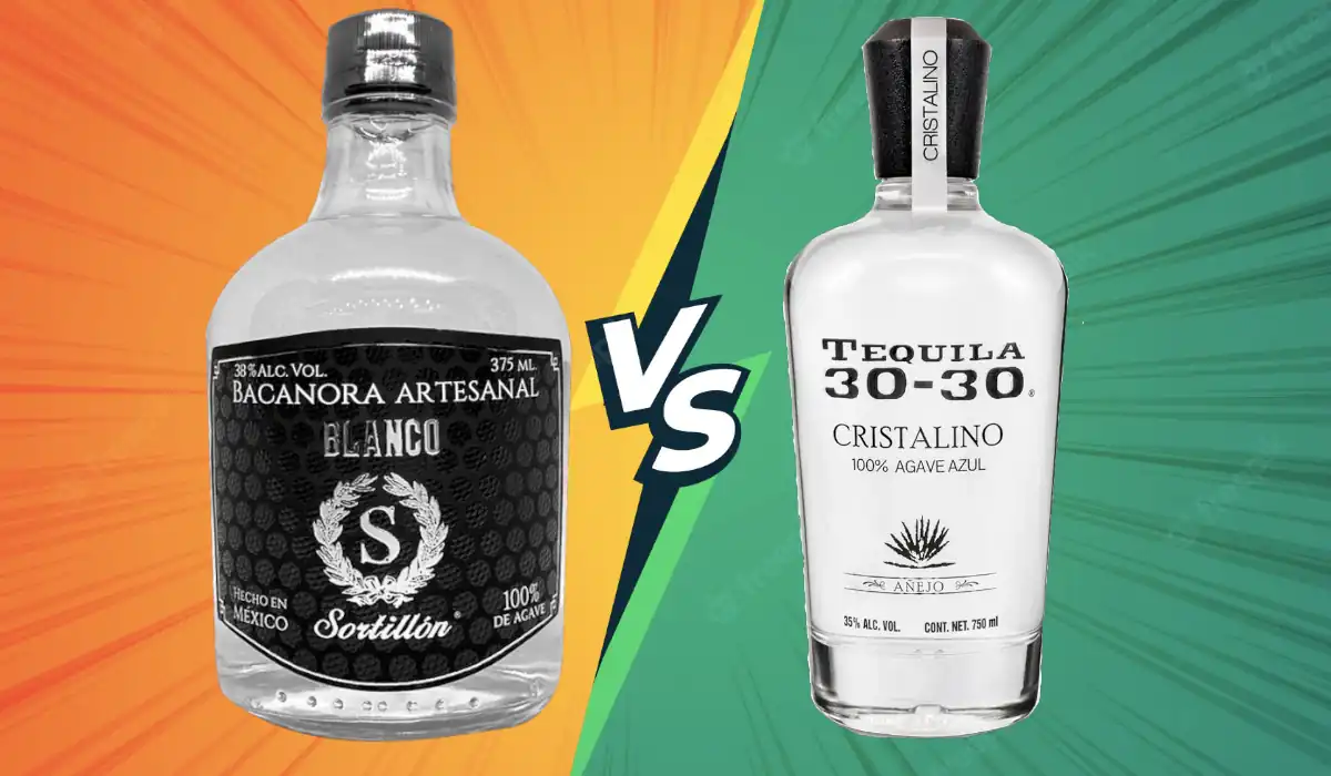 Tequila vs bacanora - Comparación del proceso de producción y diferencias